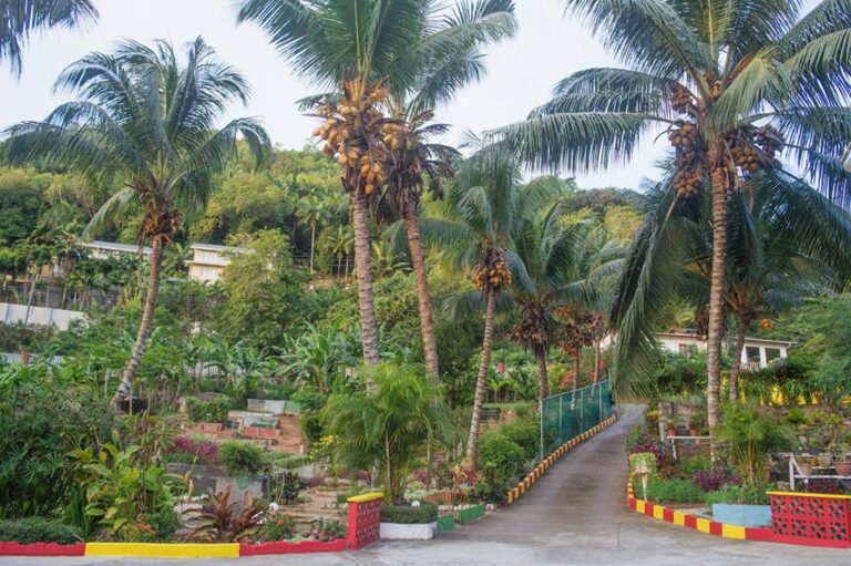 Evergreen Apartments 3