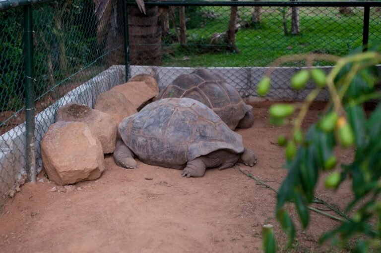 Evergreen Apartments 4